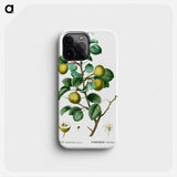 Pear (Pyrus communis) - ピエール ジョゼフ ルドゥーテ Phone Case.