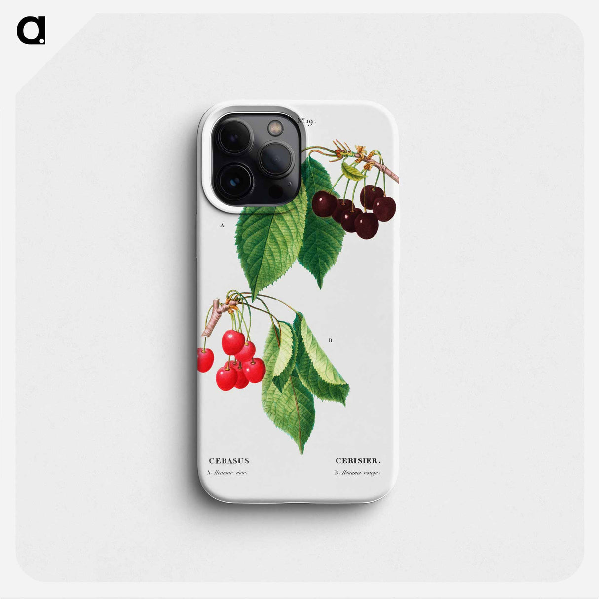 Cherry (Cerasus) - Pierre Joseph Redouté Phone Case.