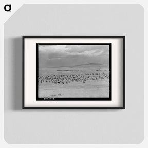 アートポスター-Cattle Roundup Near Marfa
 - ラッセル リー Poster.