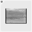 アートポストカード-Cattle Roundup Near Marfa
 - ラッセル リー Postcard.
