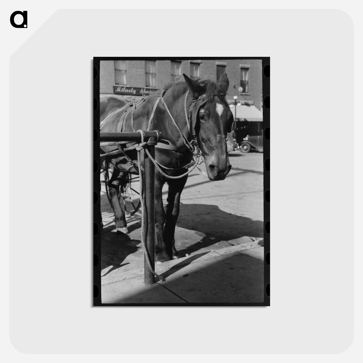 アートポストカード-Horse Tied in Bradford
 - ラッセル リー Postcard.