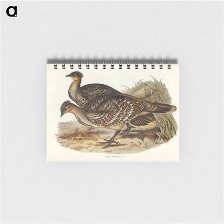 アートメモ帳-Ocellated Leipoa
 - オーストラリアの鳥 Memo.