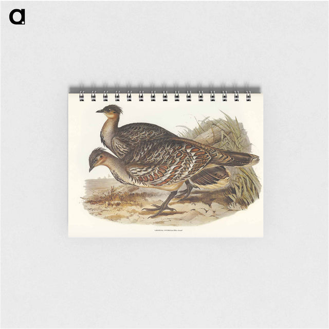 アートメモ帳-Ocellated Leipoa
 - オーストラリアの鳥 Memo.