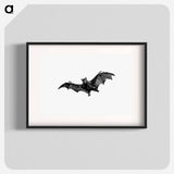 アートポスター-Flying Bat from Woodland Romances; Or, Fables And Fancies
 - 大英図書館 Poster.