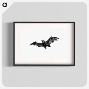 アートポスター-Flying Bat from Woodland Romances; Or, Fables And Fancies
 - 大英図書館 Poster.