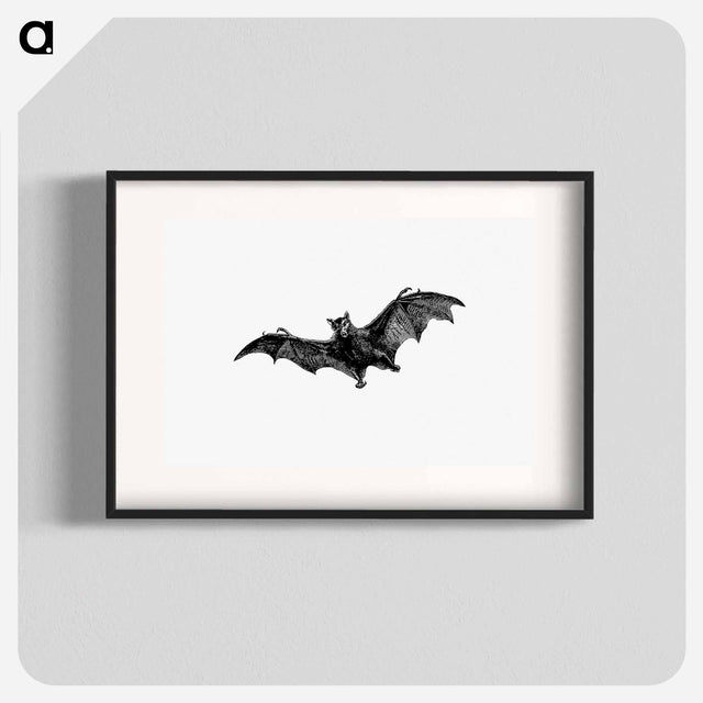 アートポスター-Flying Bat from Woodland Romances; Or, Fables And Fancies
 - 大英図書館 Poster.
