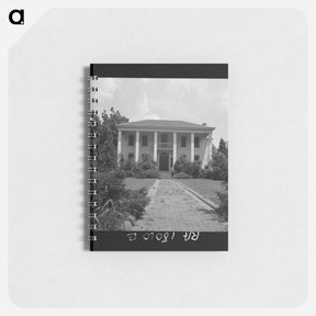 アートメモ帳-Untitled photo - ドロテア ラング Memo.