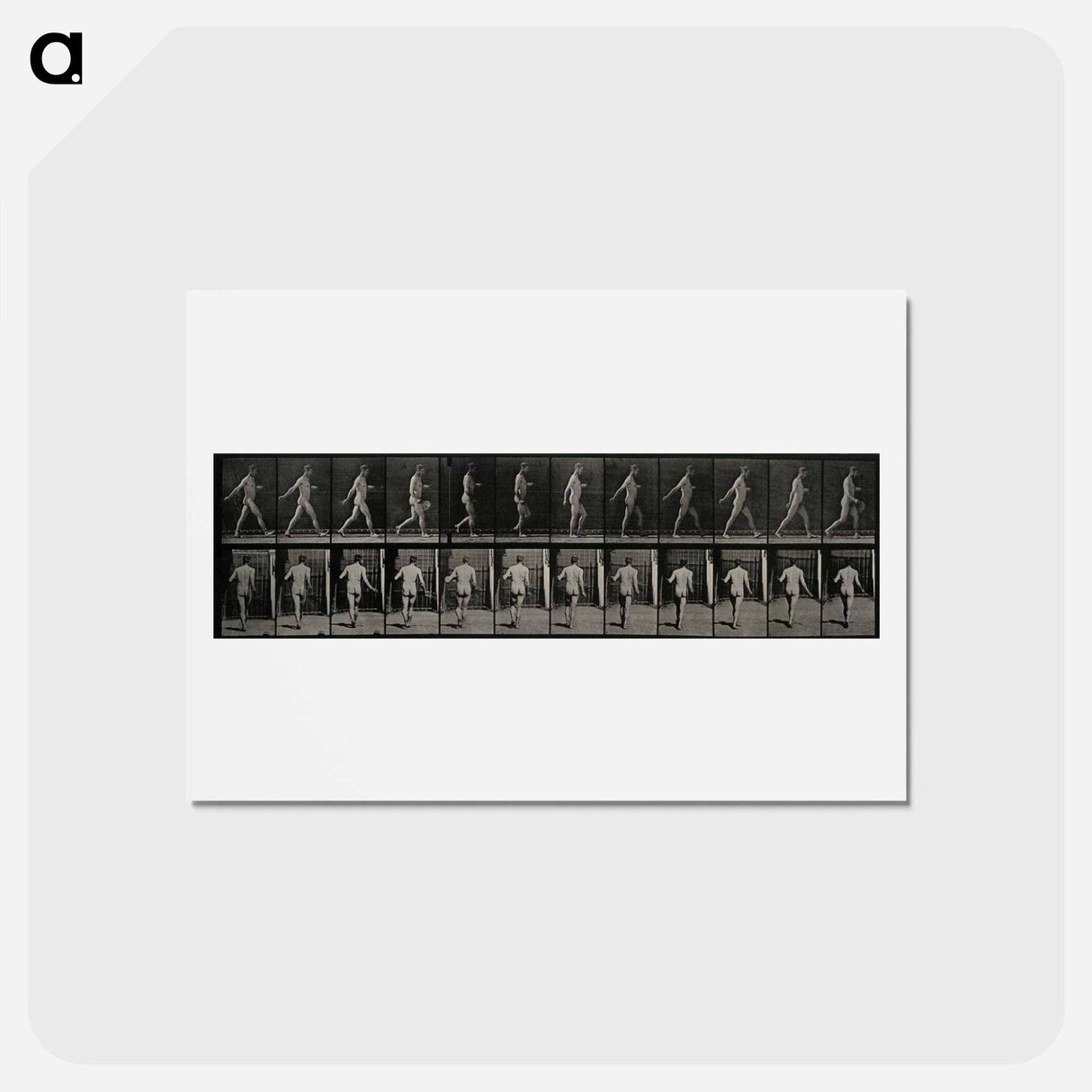 アートポストカード-The Sower
 - エドワード マイブリッジ Postcard.