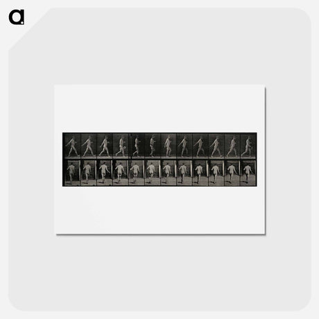 アートポストカード-The Sower
 - エドワード マイブリッジ Postcard.