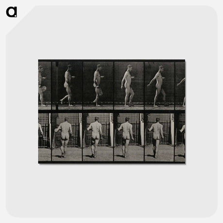 アートポストカード-The Sower
 - エドワード マイブリッジ Postcard.