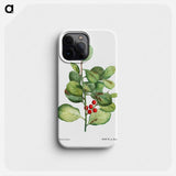 Ilex Maderiensis (Houx de Madere) - ピエール ジョゼフ ルドゥーテ Phone Case.