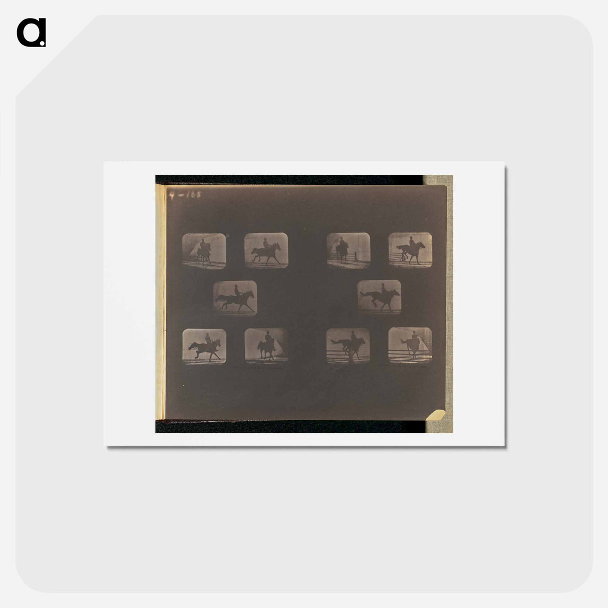 アートポストカード-Leaping
 - エドワード マイブリッジ Postcard.