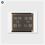 アートポストカード-Leaping
 - エドワード マイブリッジ Postcard.