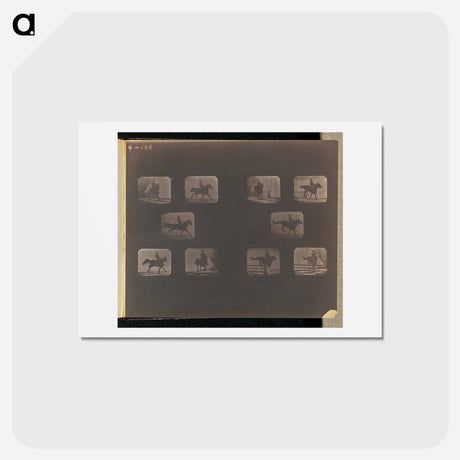 アートポストカード-Leaping
 - エドワード マイブリッジ Postcard.