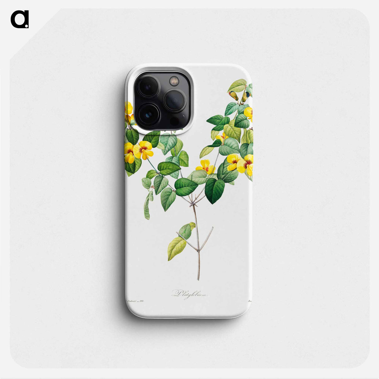 Handsome flat-pea - ピエール ジョゼフ ルドゥーテ Phone Case.