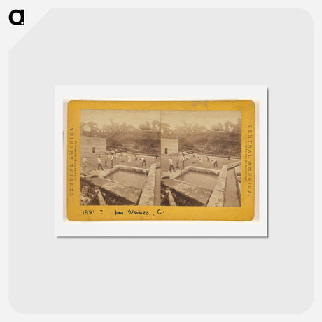 アートポストカード-Cultivation of Coffee
 - エドワード マイブリッジ Postcard.