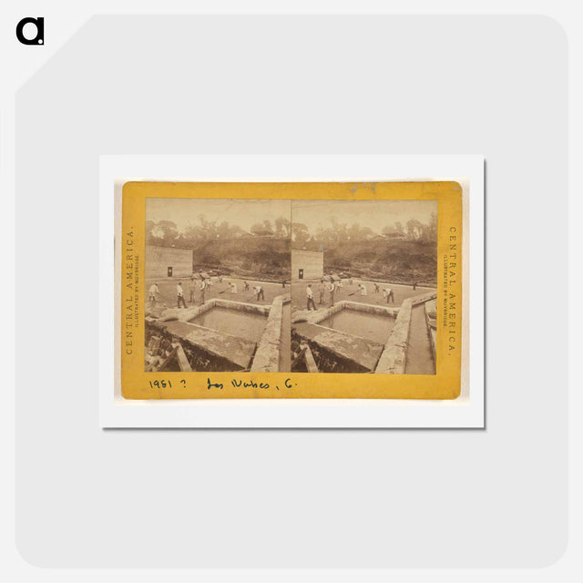 アートポストカード-Cultivation of Coffee
 - エドワード マイブリッジ Postcard.