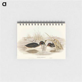 アートメモ帳-Black-throated Grebe
 - ジョン グールド Memo.