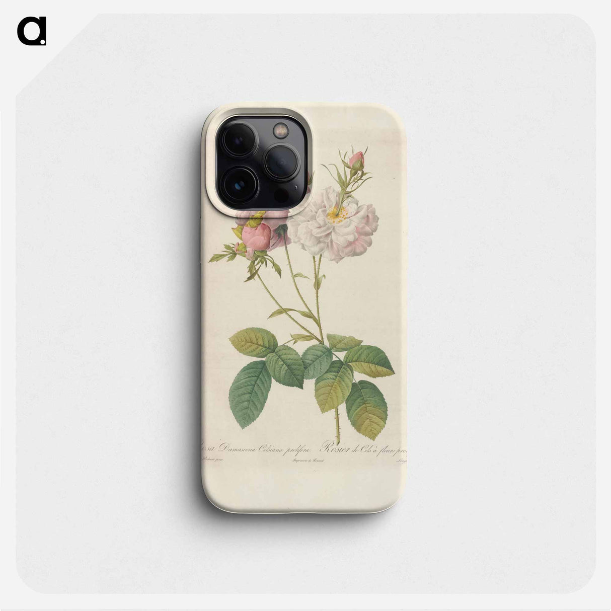 Rose illustration - ピエール ジョゼフ ルドゥーテ Phone Case.