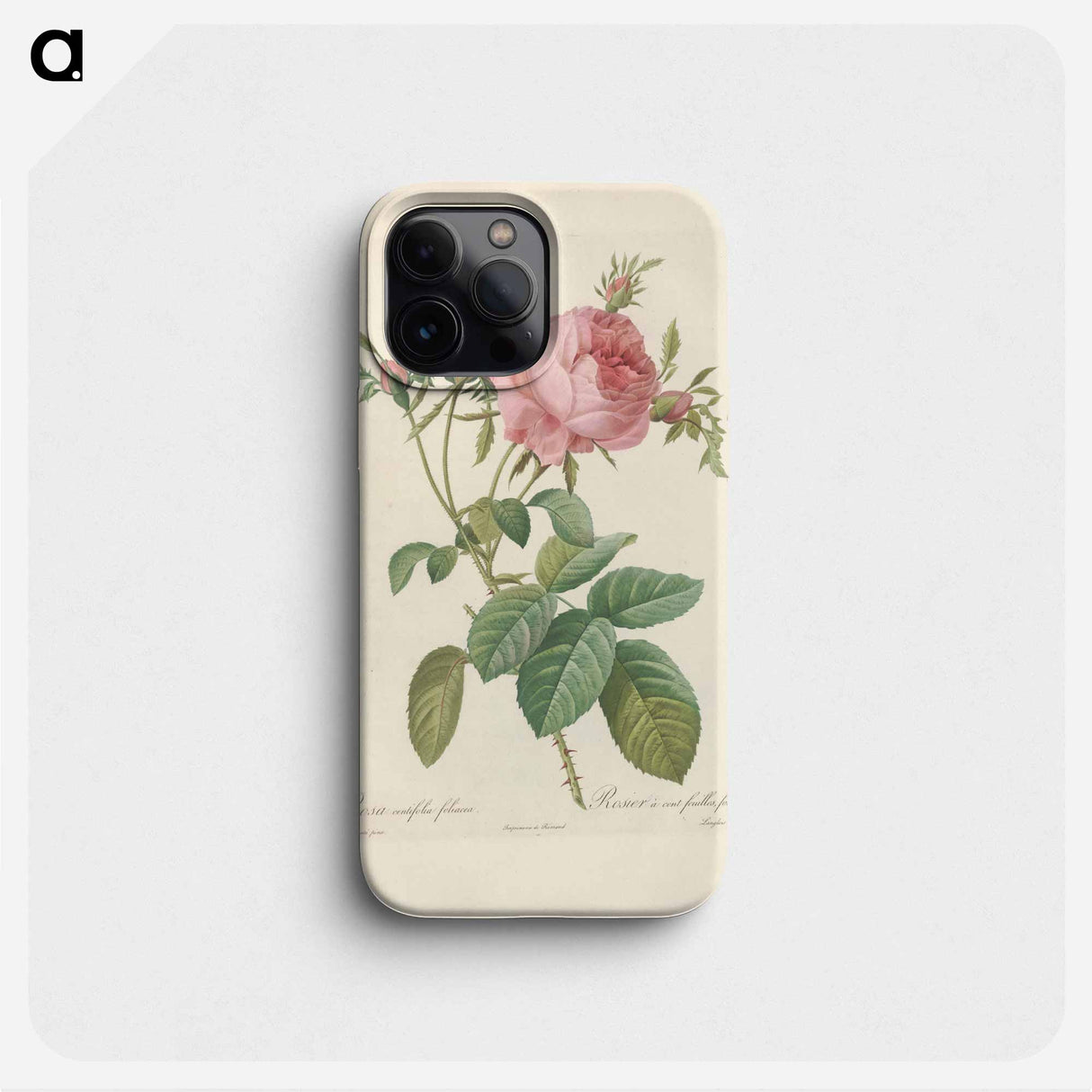 Rose illustration - ピエール ジョゼフ ルドゥーテ Phone Case.