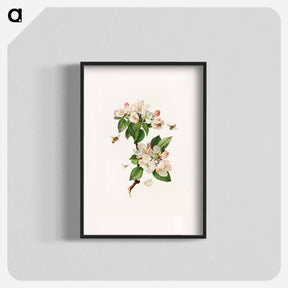 アートポスター-Apple Blossoms and Bees
 - ボストン公共図書館 Poster.