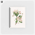 アートメモ帳-Apple Blossoms and Bees
 - ボストン公共図書館 Memo.