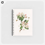 アートメモ帳-Apple Blossoms and Bees
 - ボストン公共図書館 Memo.
