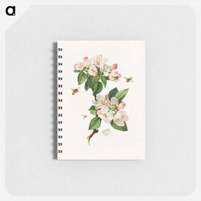 アートメモ帳-Apple Blossoms and Bees
 - ボストン公共図書館 Memo.