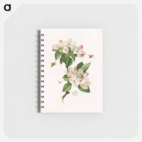 アートメモ帳-Apple Blossoms and Bees
 - ボストン公共図書館 Memo.