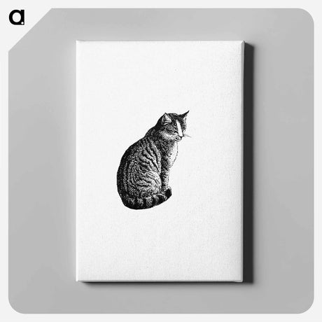 アートパネル-Domestic Cat from Aileen Aroon, A Memoir Of A Dog
 - 大英図書館 Canvas.