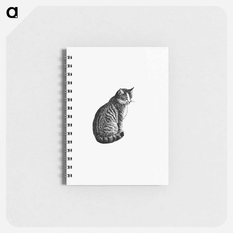 アートメモ帳-Domestic Cat from Aileen Aroon, A Memoir Of A Dog
 - 大英図書館 Memo.