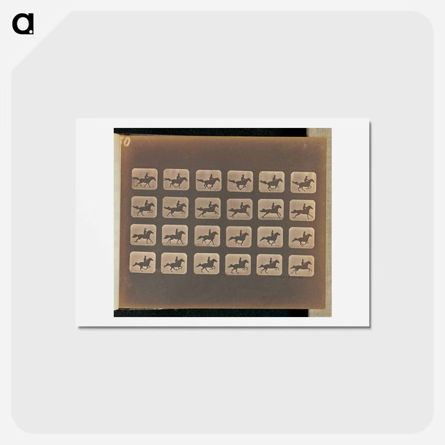 アートポストカード-Leaping
 - エドワード マイブリッジ Postcard.