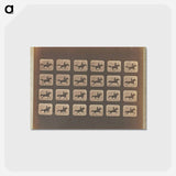 アートポストカード-Leaping
 - エドワード マイブリッジ Postcard.