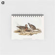 アートメモ帳-Curlew Sandpiper
 - オーストラリアの鳥 Memo.