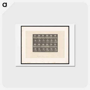 アートポストカード-Walking Mastiff
 - エドワード マイブリッジ Postcard.