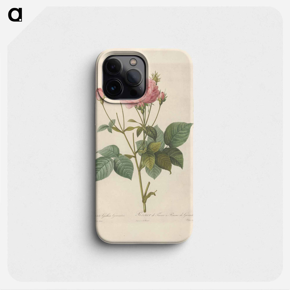 Rose illustration - Pierre Joseph Redouté Phone Case.