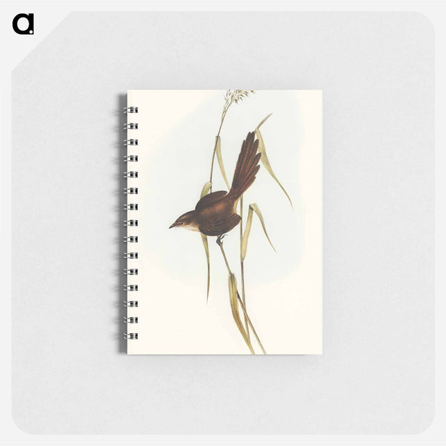 アートメモ帳-Bristle Bird
 - オーストラリアの鳥 Memo.