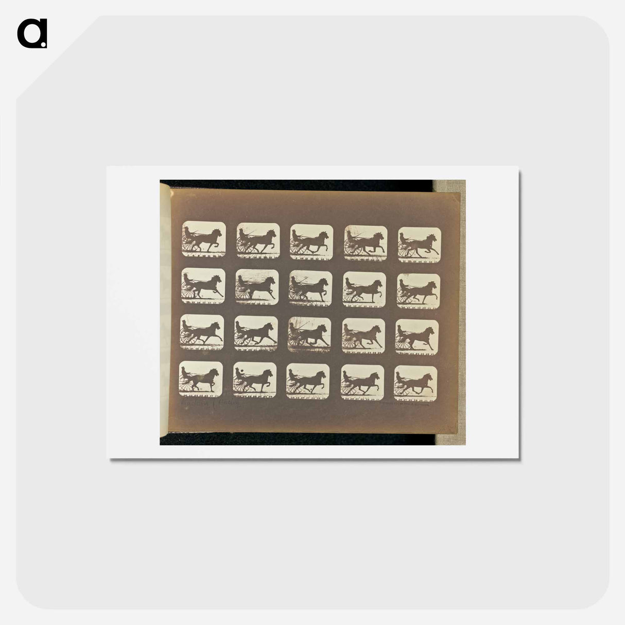 アートポストカード-Racking (Pacing)
 - エドワード マイブリッジ Postcard.