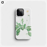 Daisy - Pierre Joseph Redouté Phone Case.
