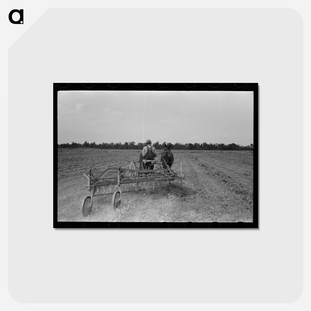 アートポストカード-Raking Soybean Hay
 - ラッセル リー Postcard.