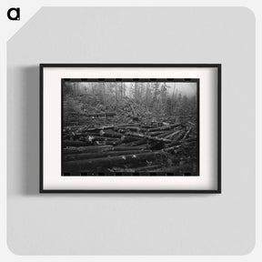 アートポスター-Logs in Cowlitz County
 - ラッセル リー Poster.