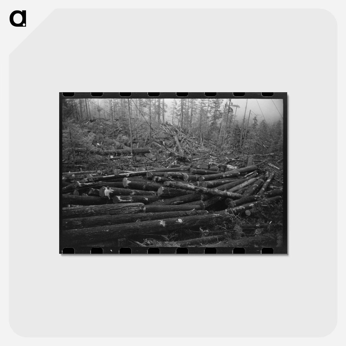 アートポストカード-Logs in Cowlitz County
 - ラッセル リー Postcard.