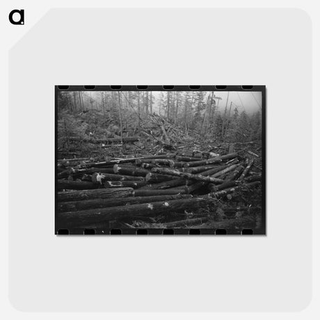 アートポストカード-Logs in Cowlitz County
 - ラッセル リー Postcard.