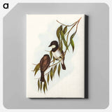 Shrike-like Phachycephala
 - オーストラリアの鳥 Canvas.