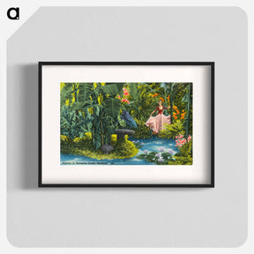 アートポスター-Variety in Sarasota Jungle Gardens
 - ボストン公共図書館 Poster.