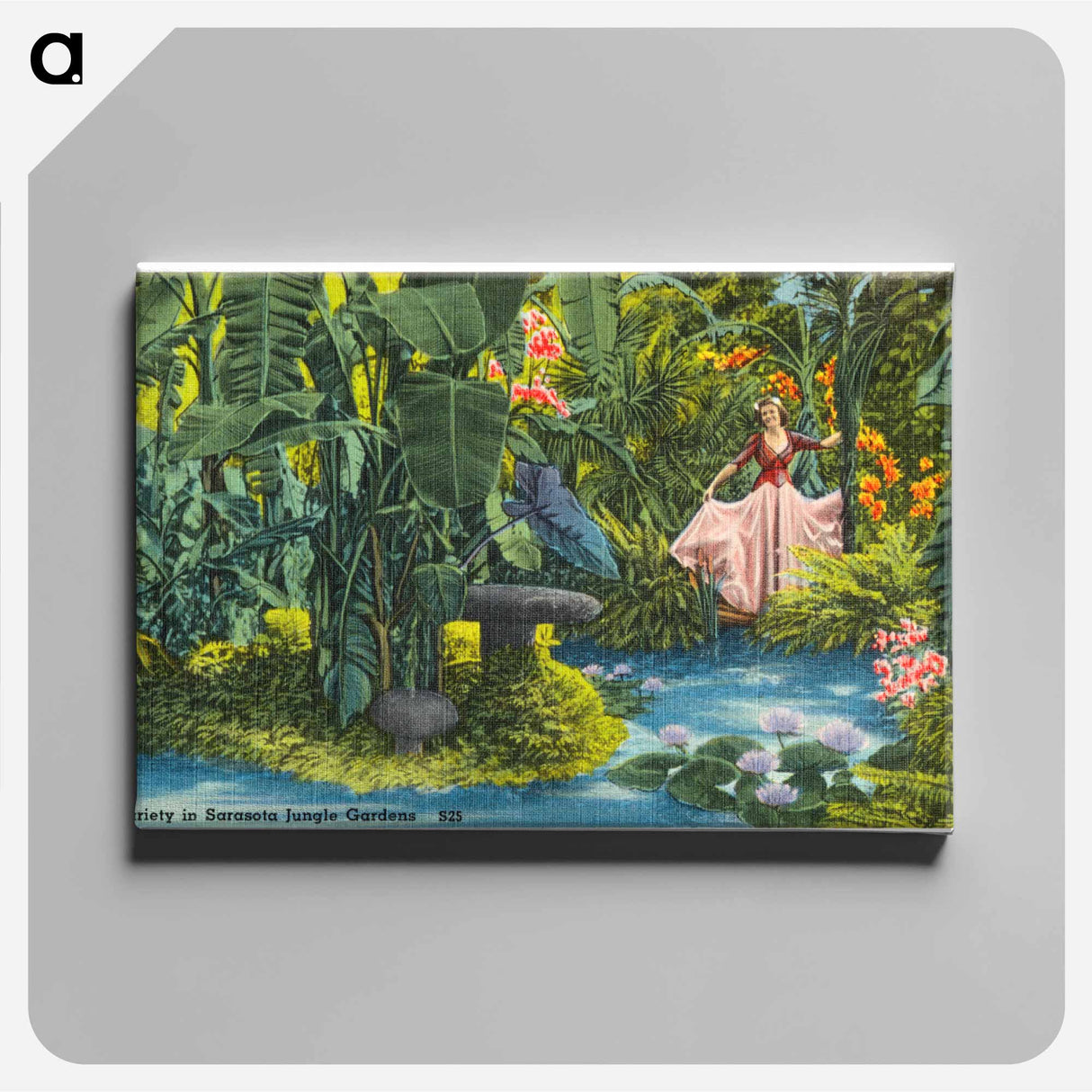 アートパネル-Variety in Sarasota Jungle Gardens
 - ボストン公共図書館 Canvas.