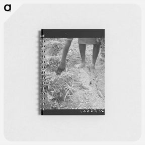 アートメモ帳-Thirteen year old daughter of sharecropper planting sweet potatoes - ドロテア ラング Memo.