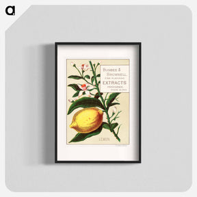 アートポスター-Lemon - Bugbee & Brownell
 - ボストン公共図書館 Poster.