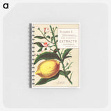アートメモ帳-Lemon - Bugbee & Brownell
 - ボストン公共図書館 Memo.