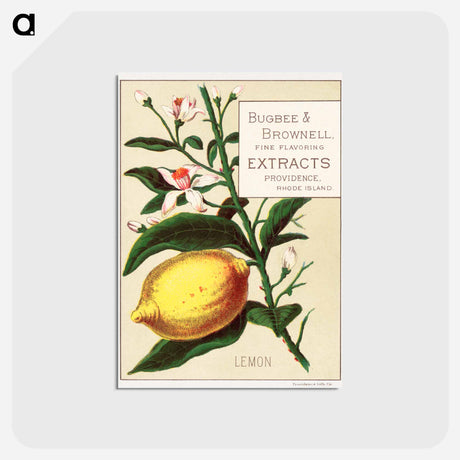 アートポストカード-Lemon - Bugbee & Brownell
 - ボストン公共図書館 Postcard.